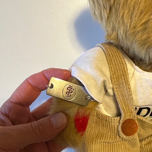 Rufus - The Bear with Diabetes - Picture 3 of 9